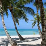 Séjour à Punta Cana : conseils pour un voyage inoubliable