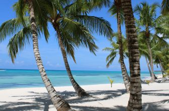 Séjour à Punta Cana : conseils pour un voyage inoubliable